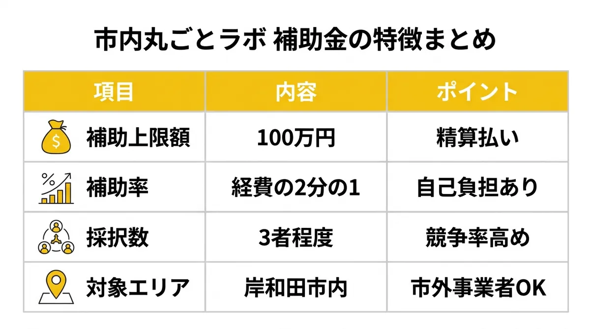 市内丸ごとラボ 補助金の特徴まとめ
