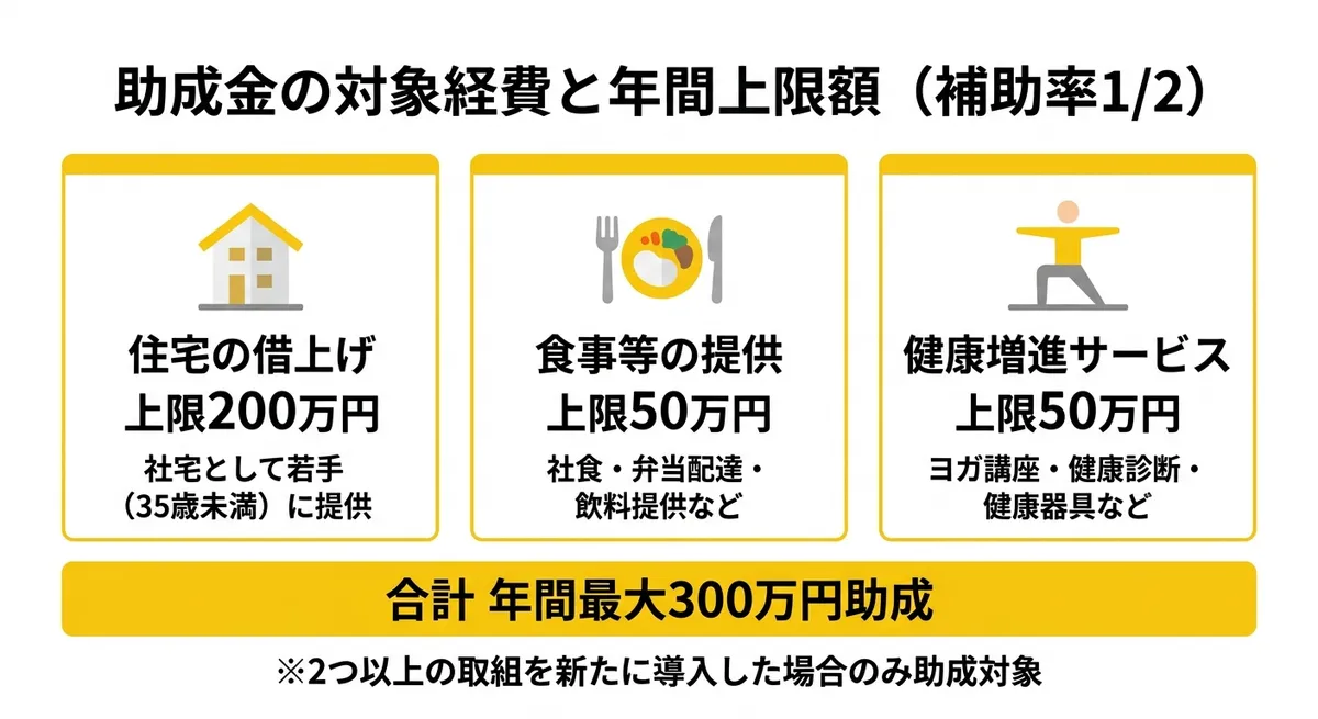 助成金の対象経費と年間上限額（補助率1/2）
