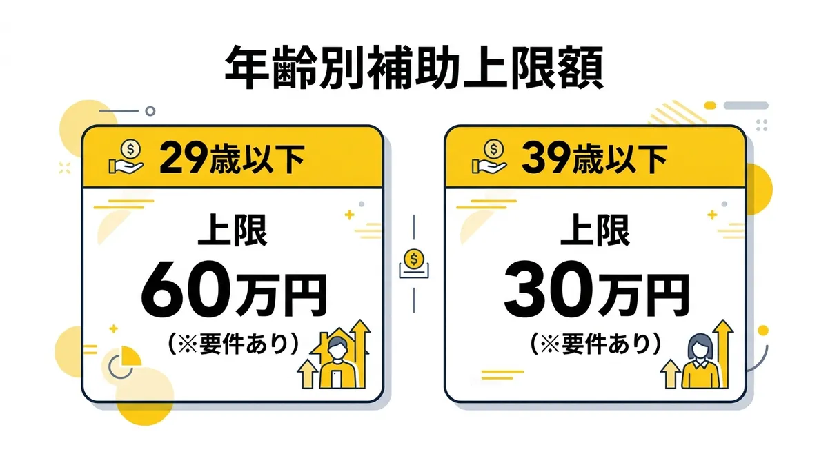 年齢別補助上限額の比較図