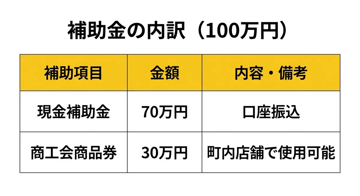 補助金の内訳(100万円)