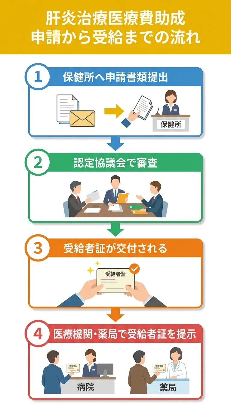 肝炎治療医療費助成 申請から受給までの流れ