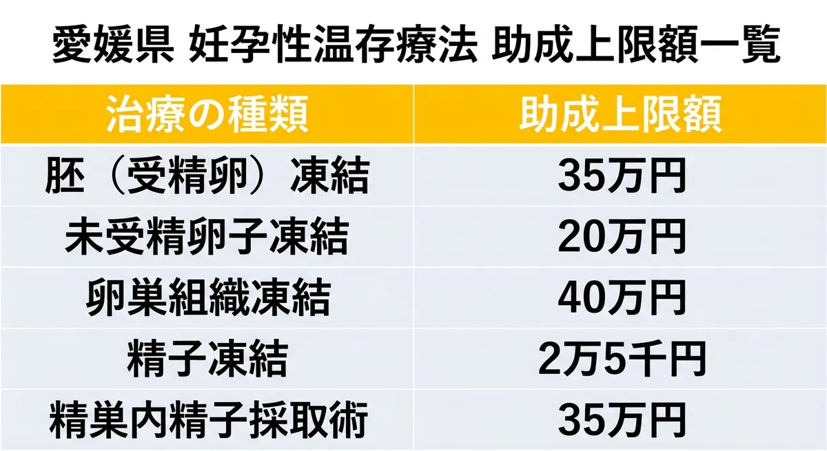 愛媛県 妊孕性温存療法 助成上限額一覧