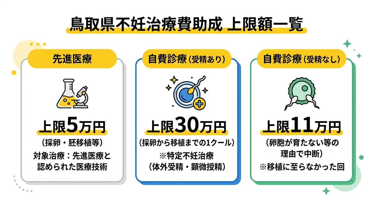 鳥取県不妊治療費助成 上限額一覧