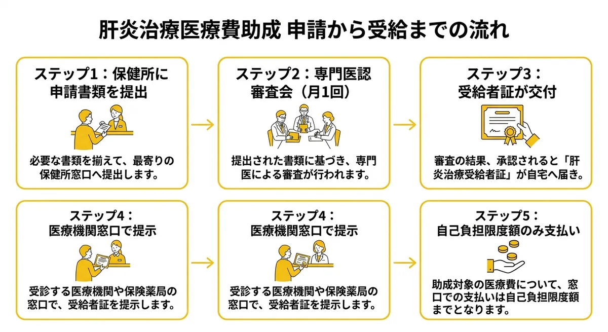 肝炎治療医療費助成 申請から受給までの流れ