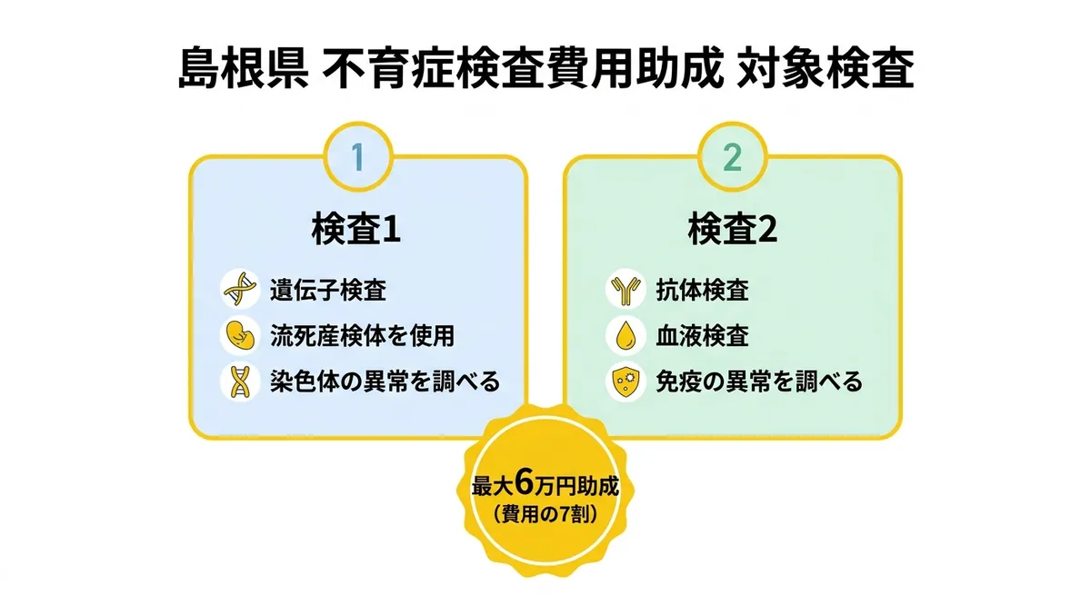 対象2種類の検査比較インフォグラフィック