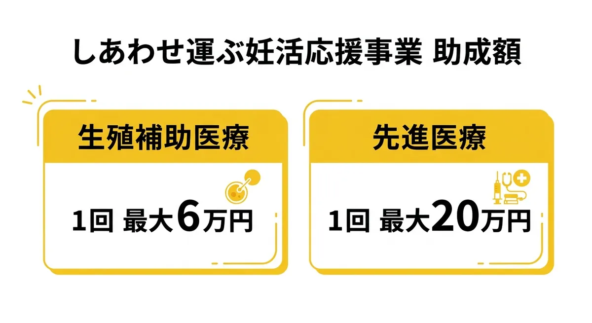しあわせ運ぶ妊活応援事業の助成額。生殖補助医療は1回最大6万円、先進医療は1回最大20万円