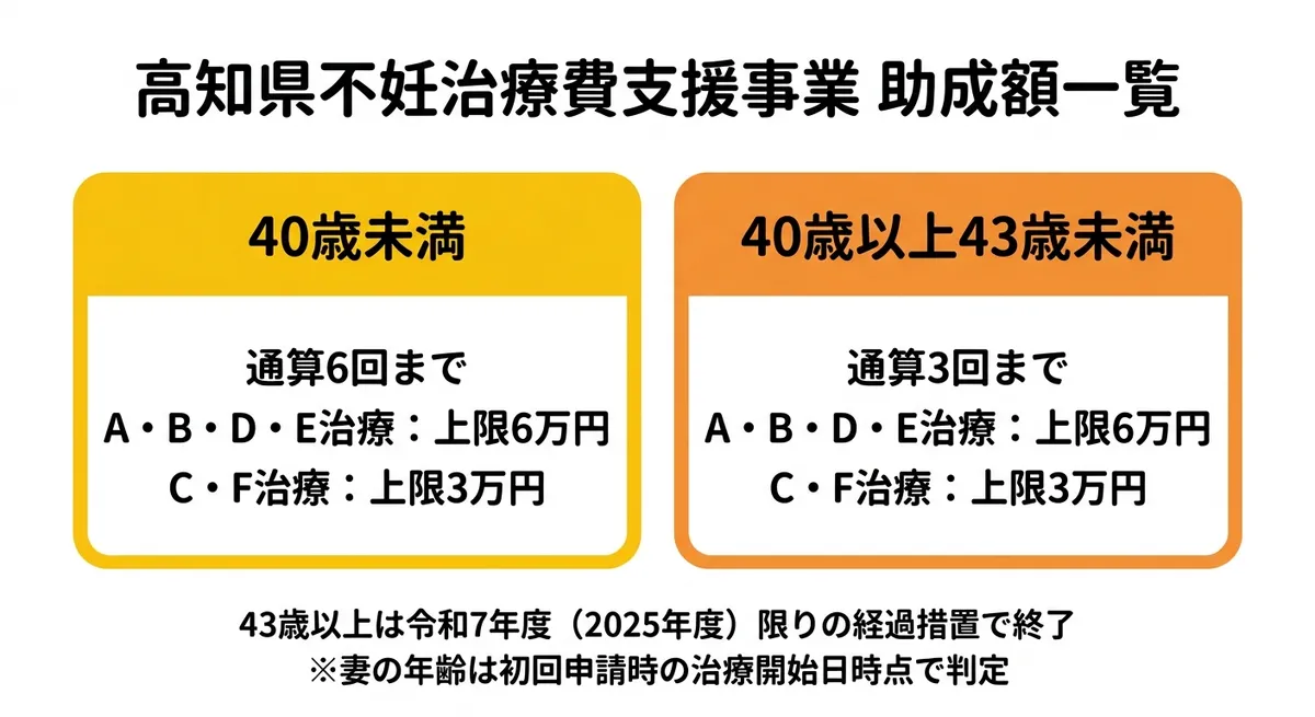 高知県不妊治療費支援事業 助成額一覧