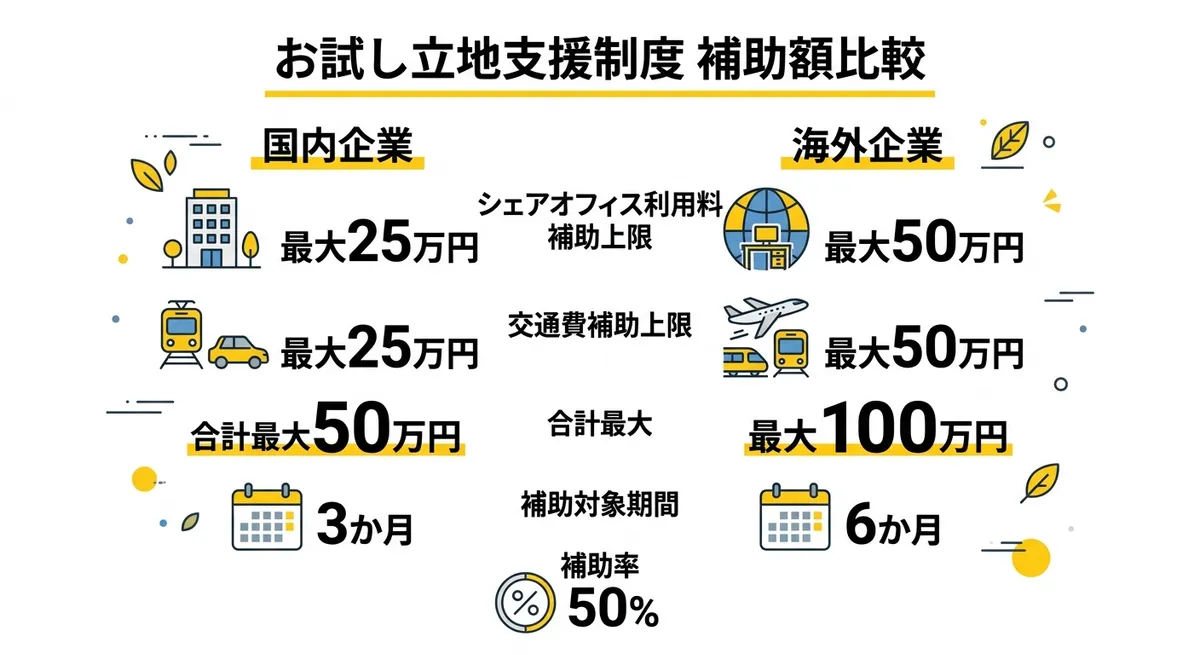お試し立地支援制度 補助額比較（国内企業 vs 海外企業）