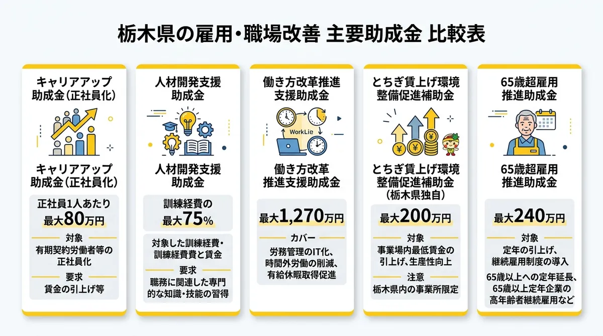 主要助成金 比較インフォグラフィック